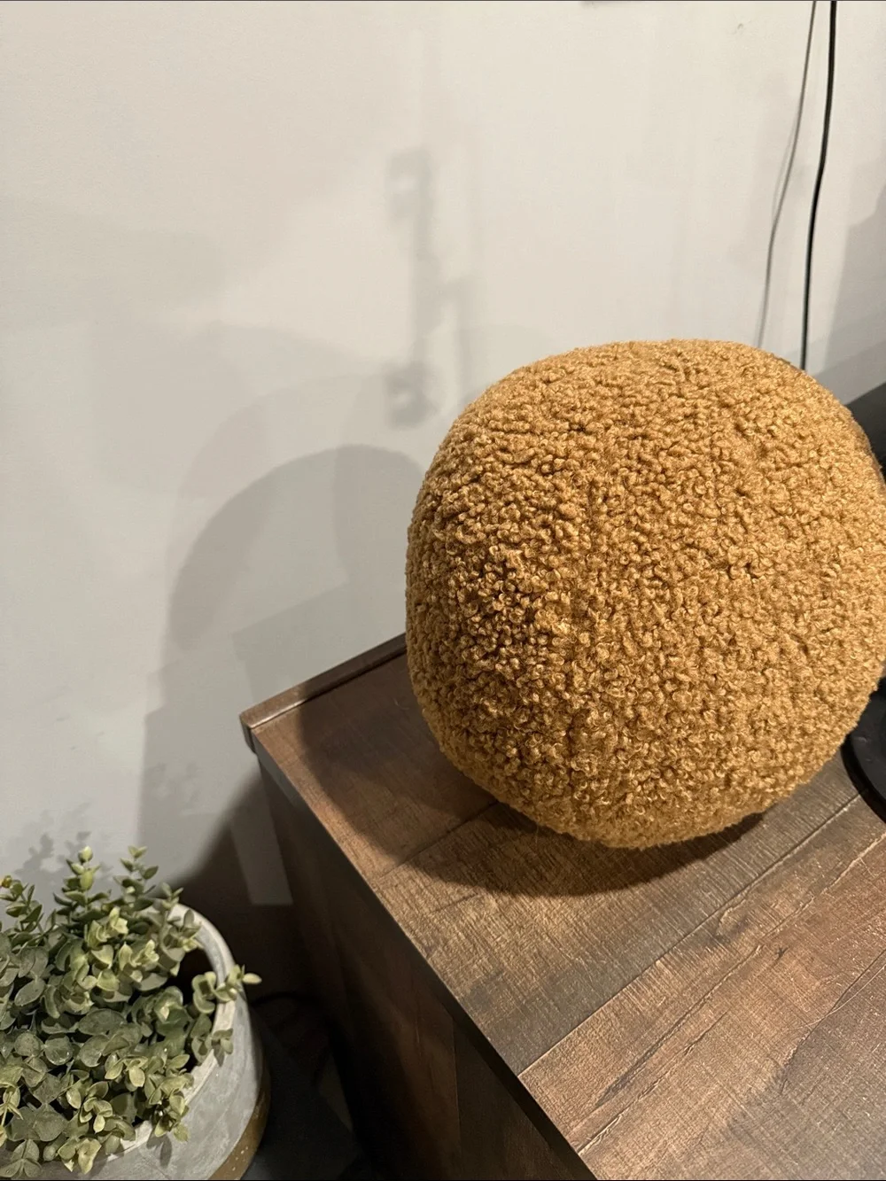 Cozy Teddy Ball Pillow